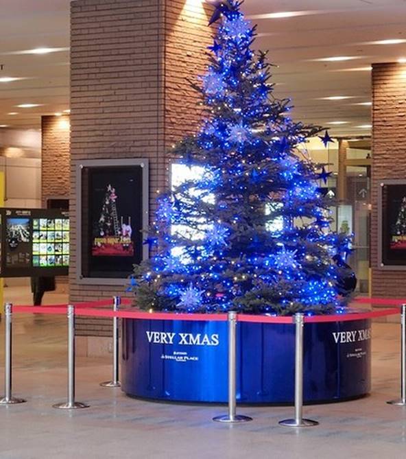 メリークリスマス!