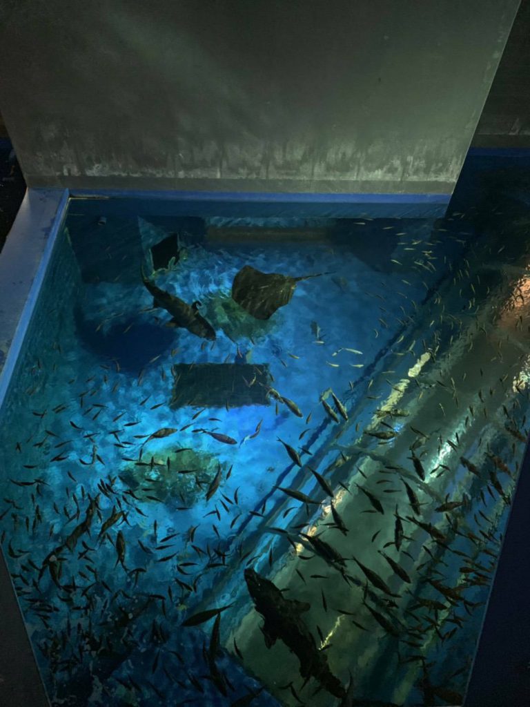 登別の水族館と温泉