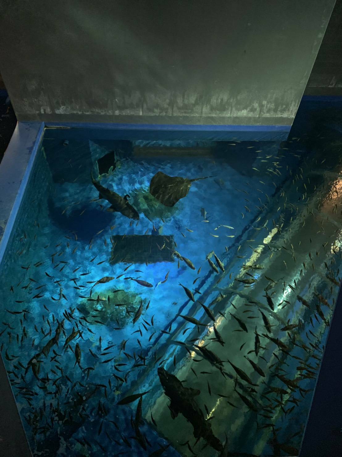 登別の水族館と温泉