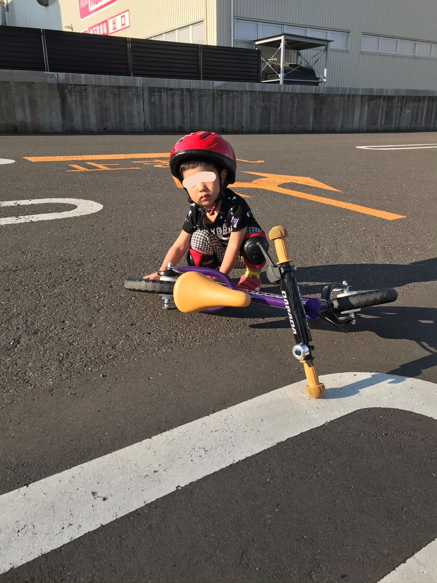 朝の日課