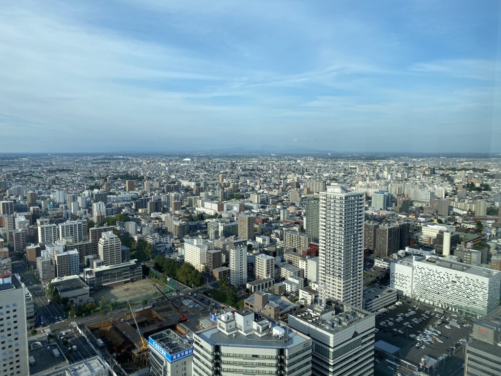 展望台からの景色