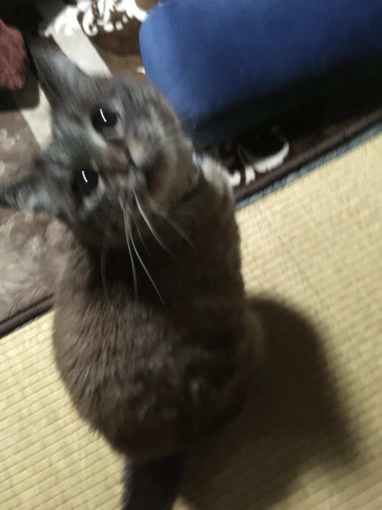 難儀はかけるもの