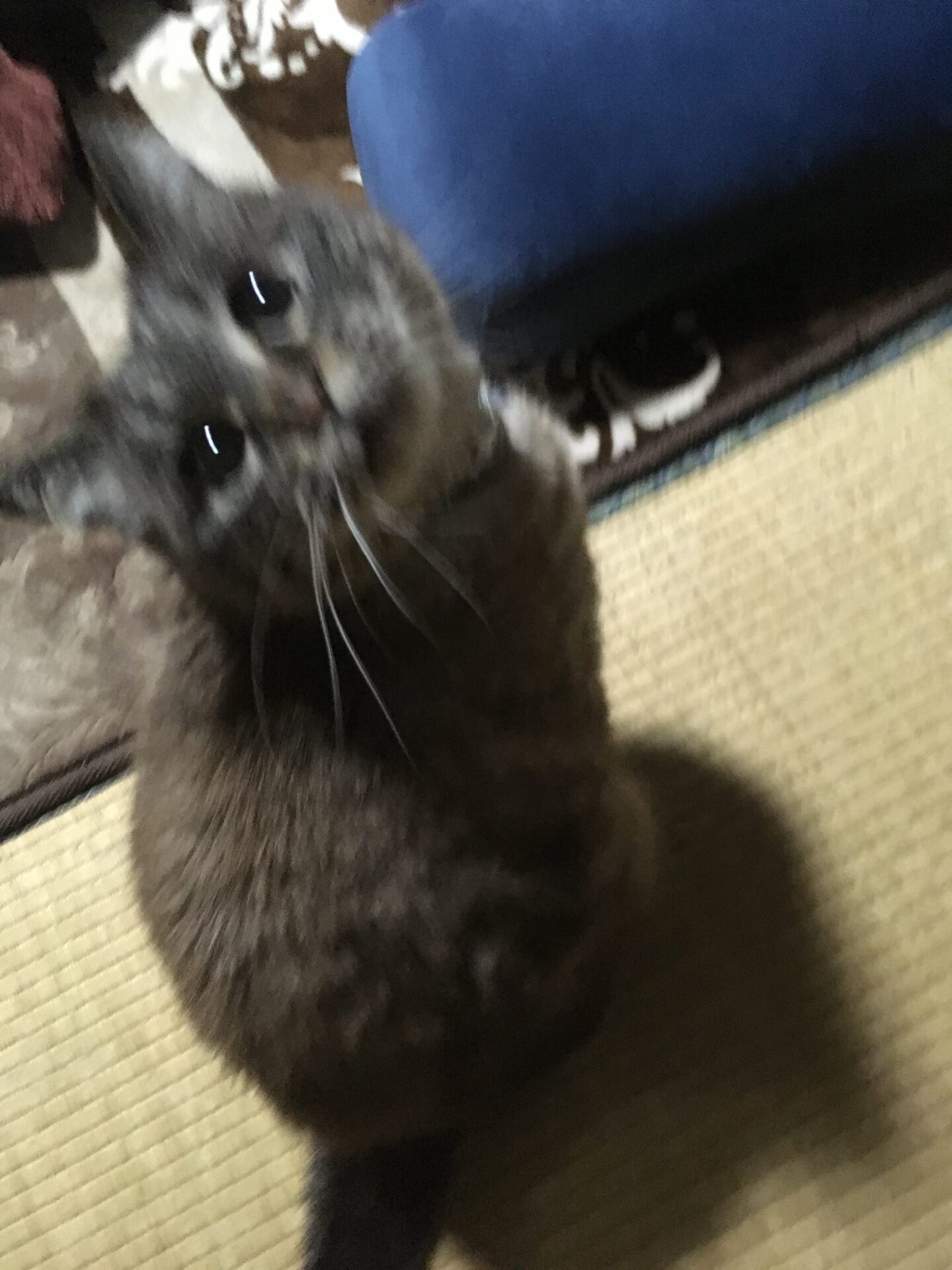 難儀はかけるもの