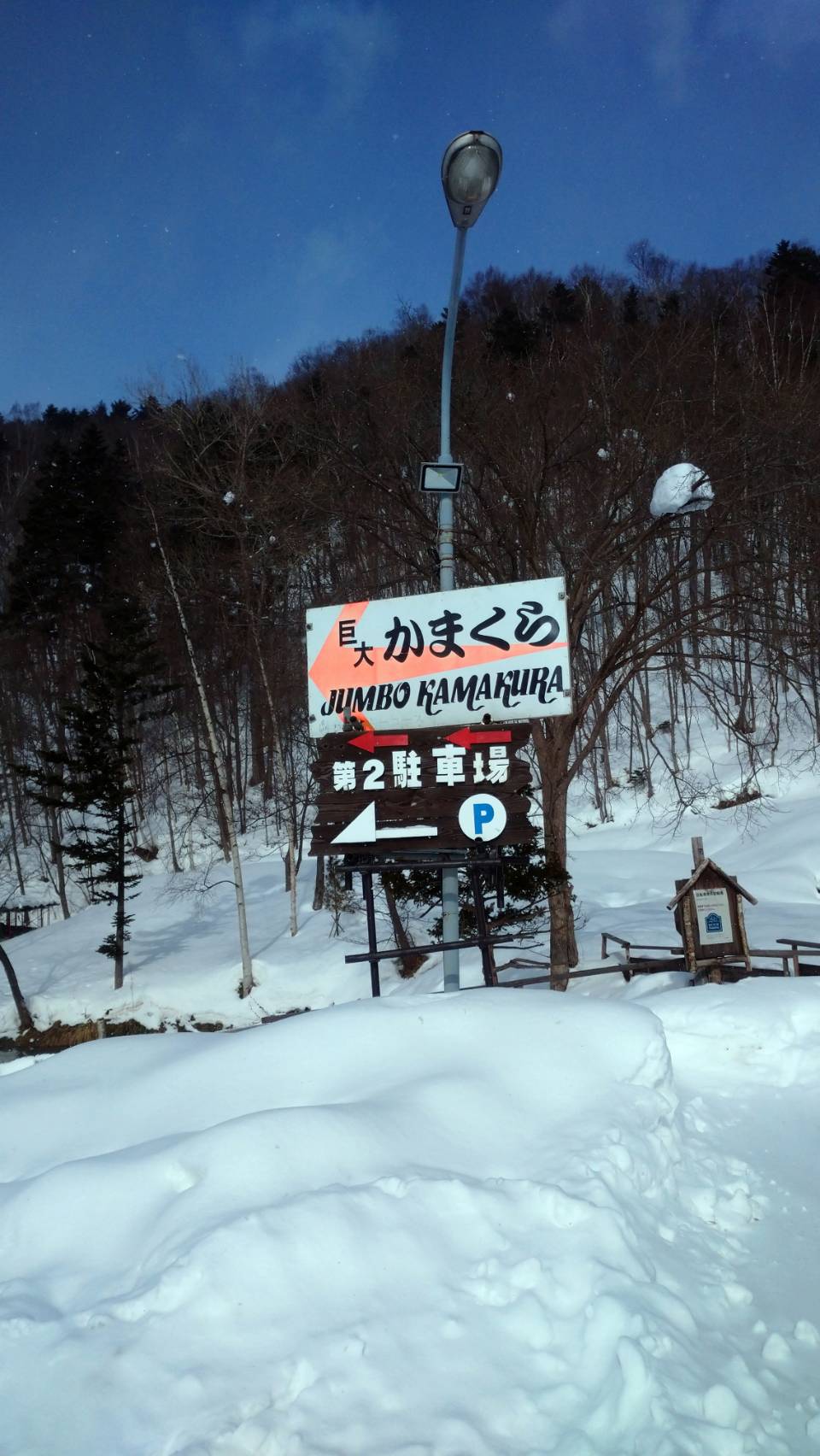 最近の我が家の流行り