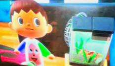 “あつ森“におうちくん