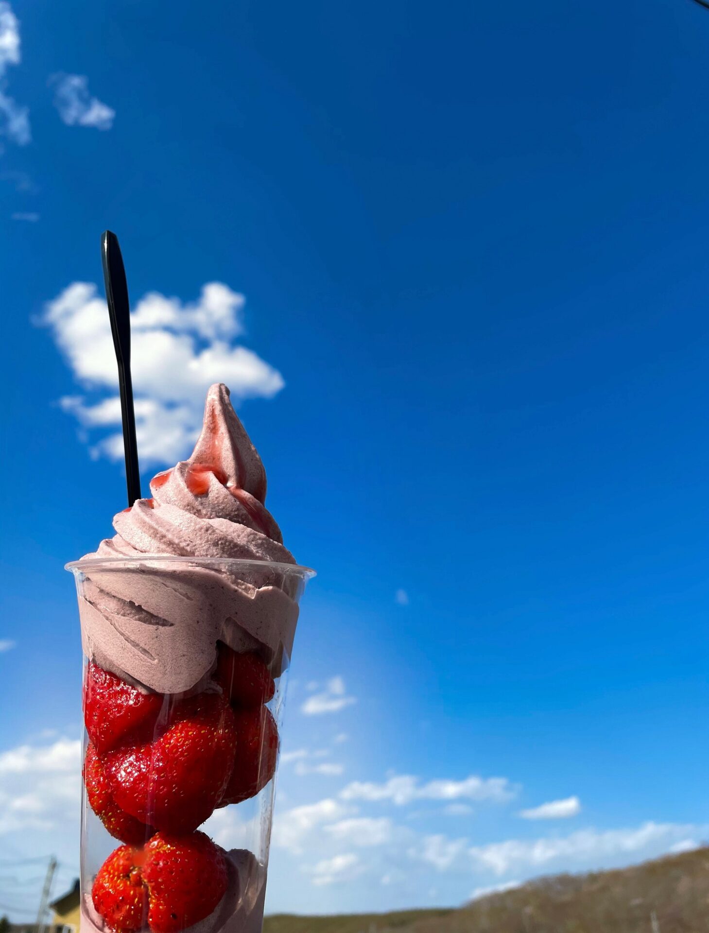 インスタ映えなソフトクリーム
