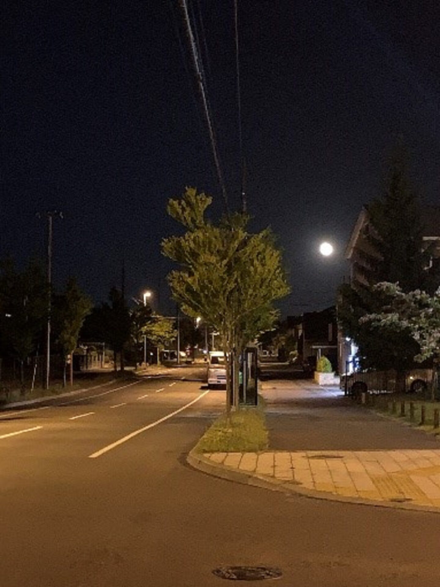 ~灯~
