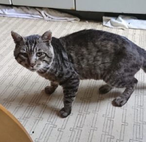 ブログ_髙橋比②
