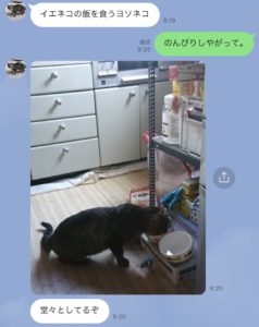 ブログ_髙橋比③