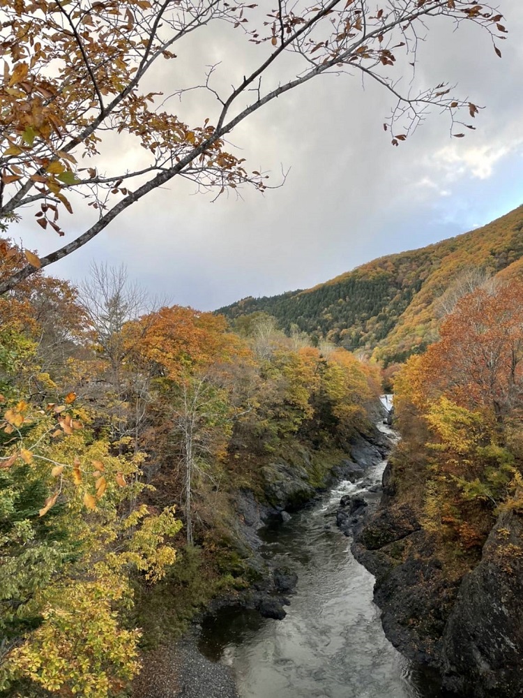 紅葉を見に片道4時間…