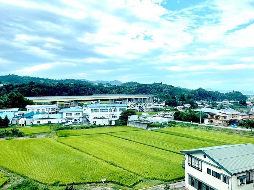 久しぶりの帰省