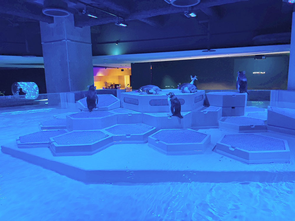 週末の癒しに都会の水族館はいかがですか?