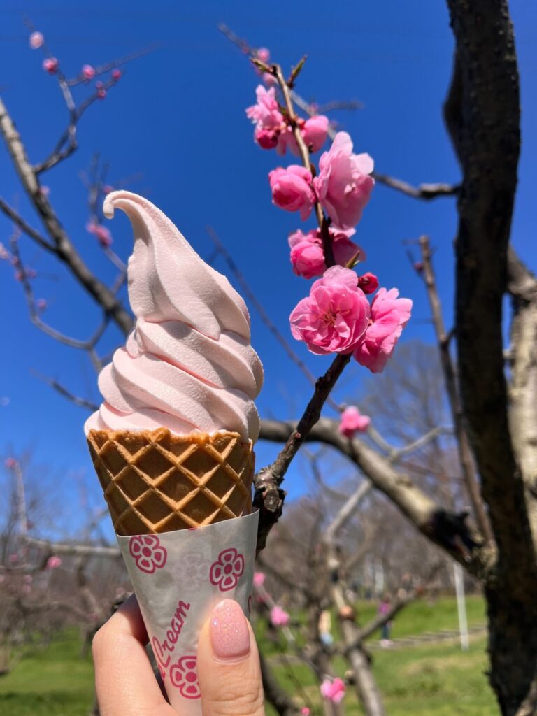 梅まつり！in平岡公園