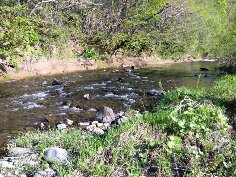 暑い夏、たまには川遊び等いかがですか？