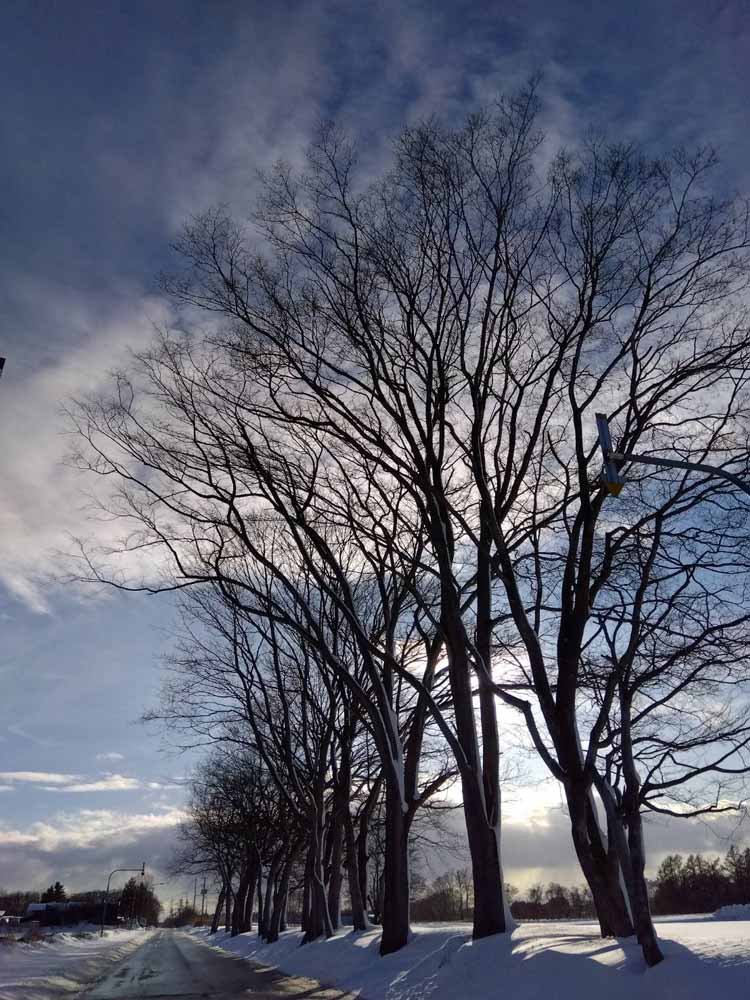 2025年1月の風景