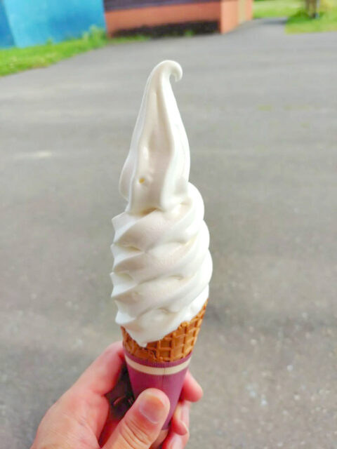 この夏の思い出