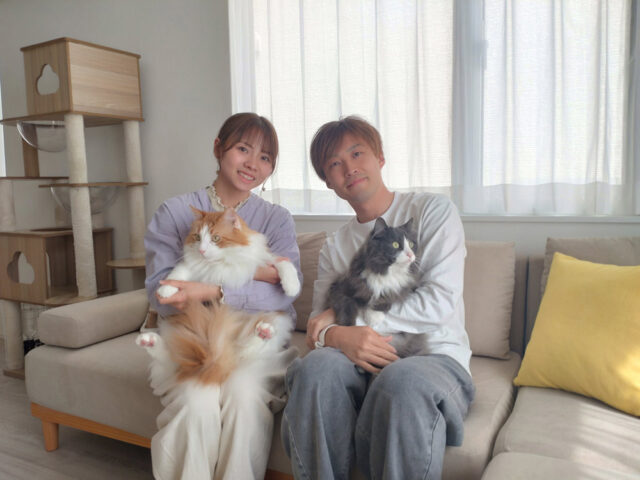 愛猫と心地よく暮らす、開放感あふれる住まい